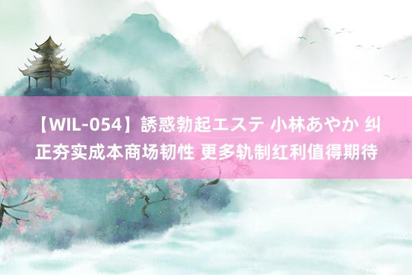 【WIL-054】誘惑勃起エステ 小林あやか 纠正夯实成本商场韧性 更多轨制红利值得期待