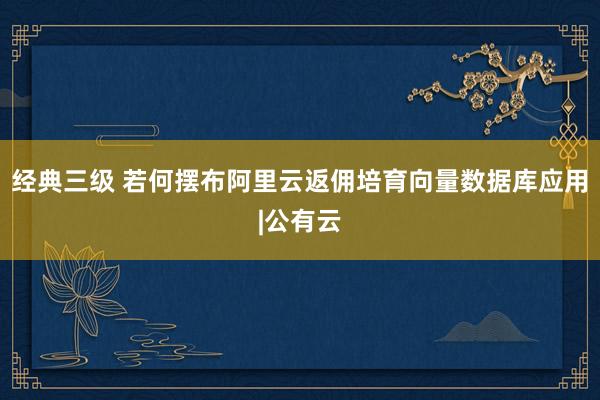 经典三级 若何摆布阿里云返佣培育向量数据库应用|公有云