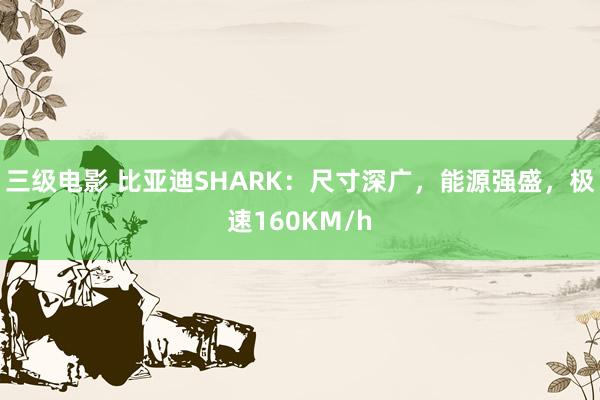 三级电影 比亚迪SHARK：尺寸深广，能源强盛，极速160KM/h